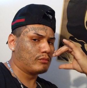 Meet your Posher, Alfie